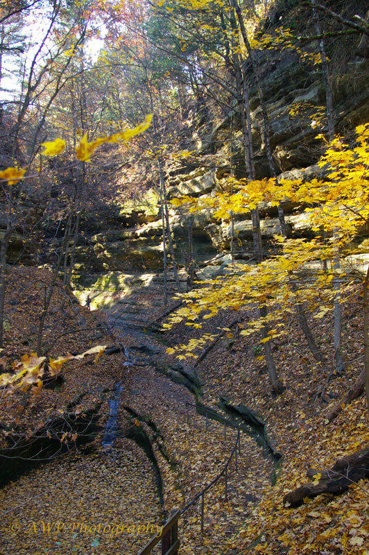 fall starved rock