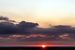 Header-Image-001