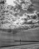 Hollywoodbeach_light_cropped_resized_signed